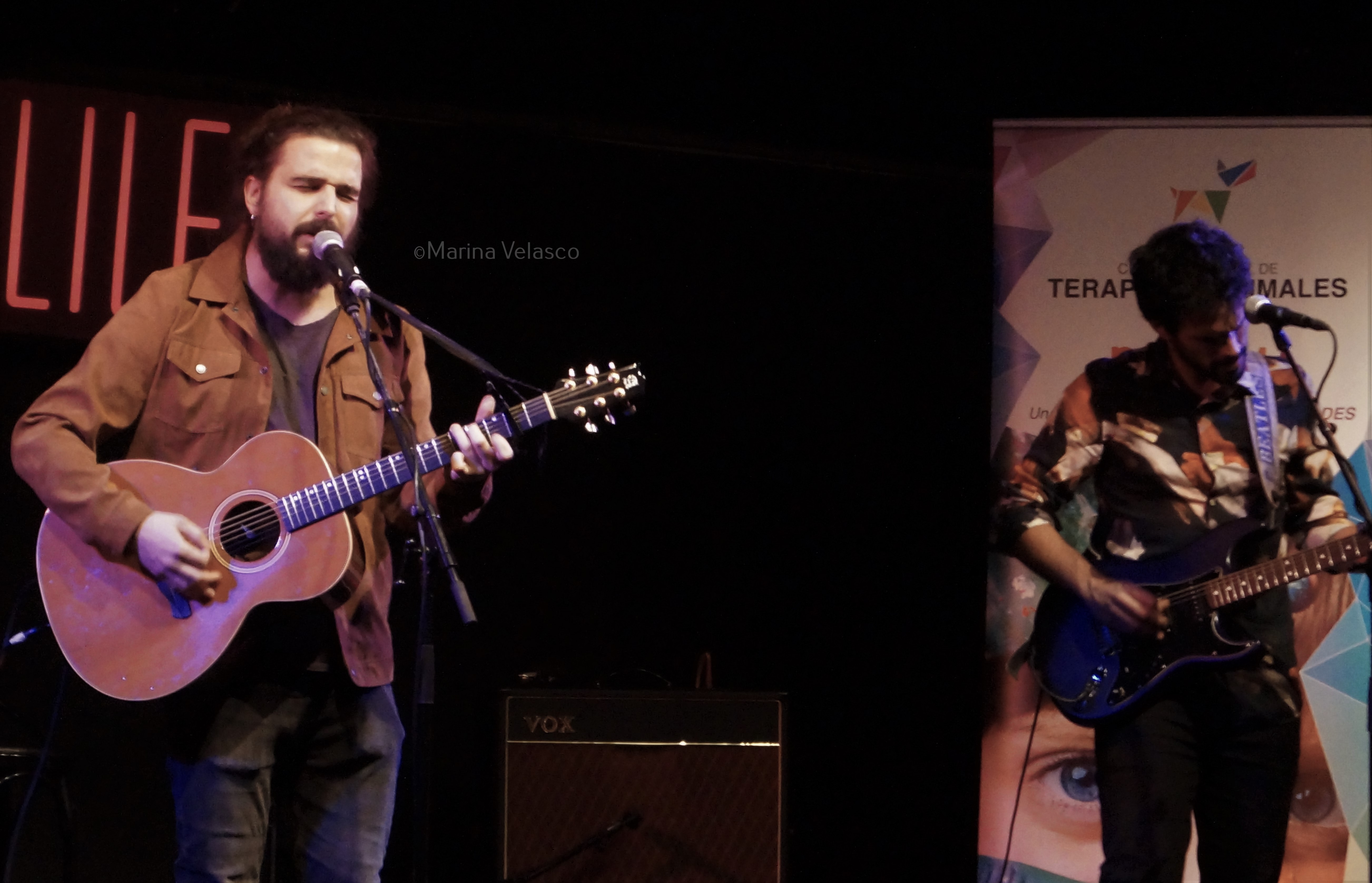 animales colores contra la violencia