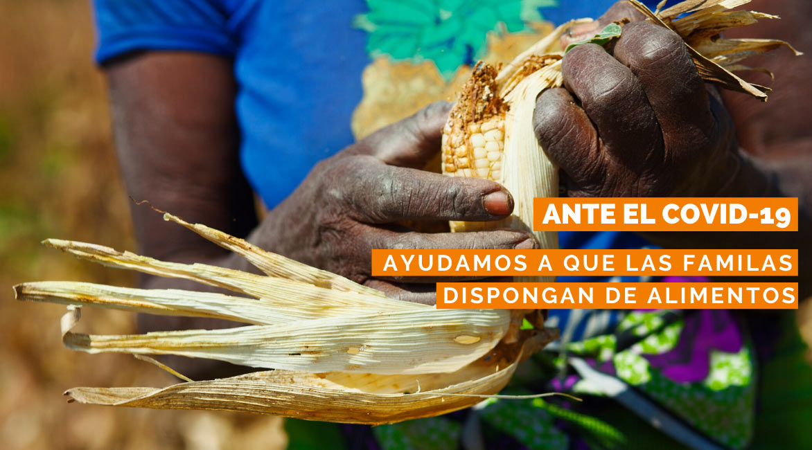 cine solidario fundacion codespa