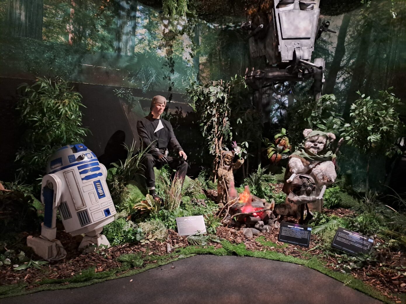 Recreación del planeta boscoso de Endor. (La Voz Cultural/Marina Velasco)